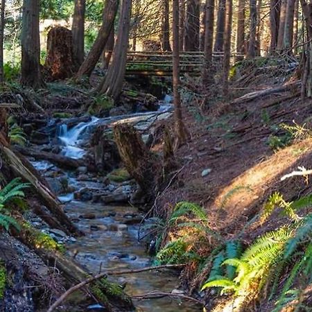 Forest Haven Hideaway Roberts Creek エクステリア 写真